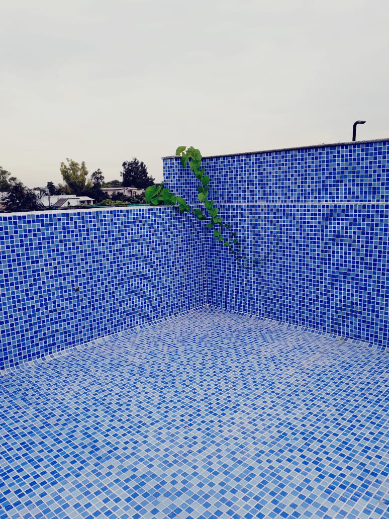 Pool Tile 15